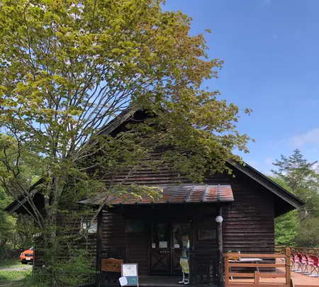 キープやまねミュージアムの写真・動画_image_608031