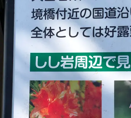 しし岩の写真・動画_image_608063