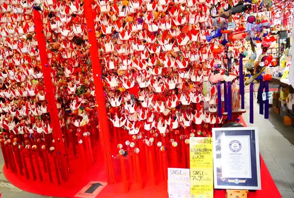 地球屋の写真・動画_image_608077