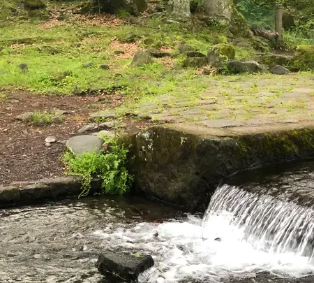 三分一湧水公園の写真・動画_image_608349