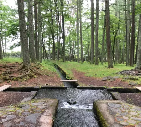 三分一湧水公園の写真・動画_image_608350