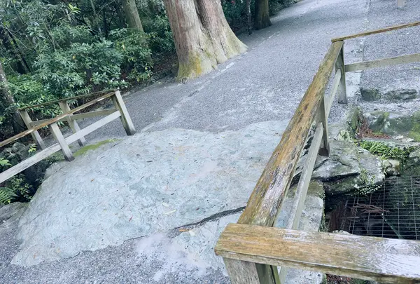 伊勢神宮外宮（豊受大神宮）の写真・動画_image_608761