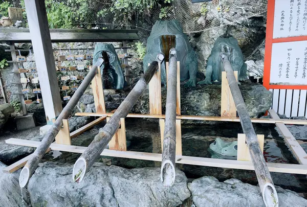 二見興玉神社の写真・動画_image_608783