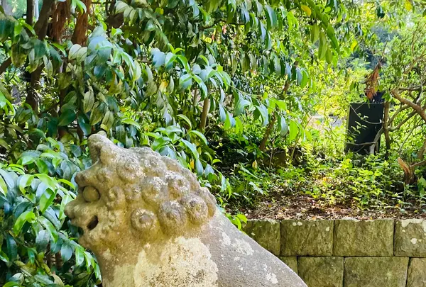 大崎八幡宮の写真・動画_image_609973