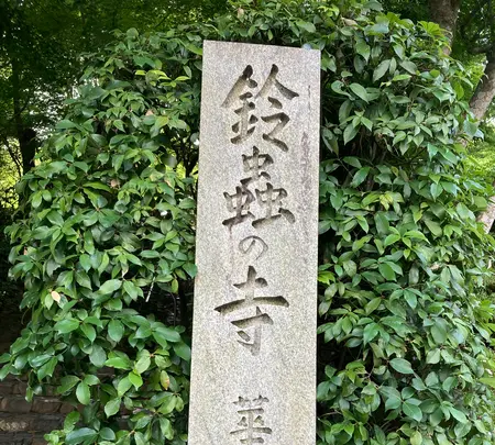 鈴虫寺（華厳寺）の写真・動画_image_610040