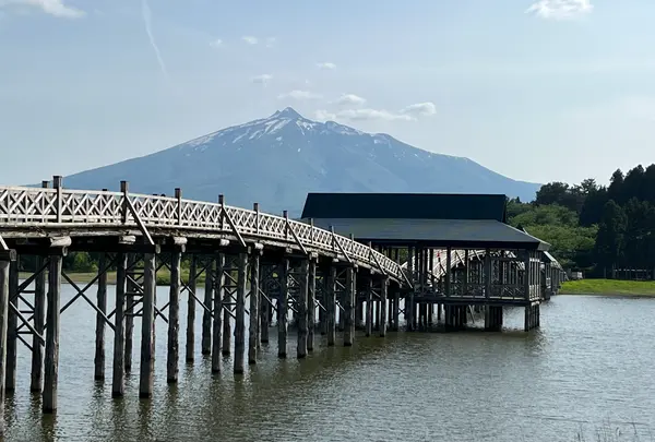 鶴の舞橋の写真・動画_image_610151