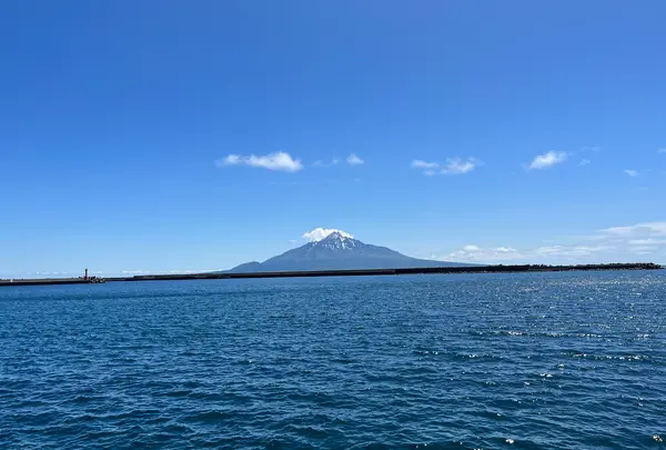 花文の写真・動画_image_611724