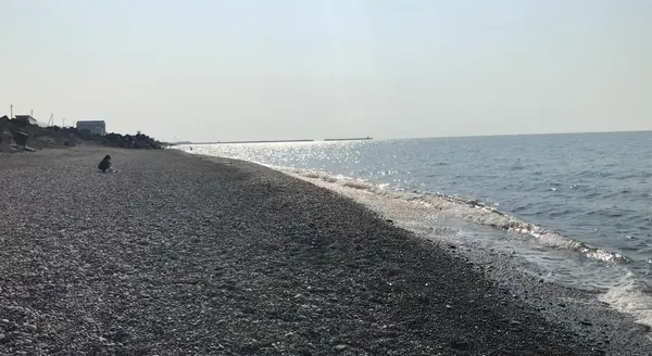 ヒスイ海岸の写真・動画_image_611942