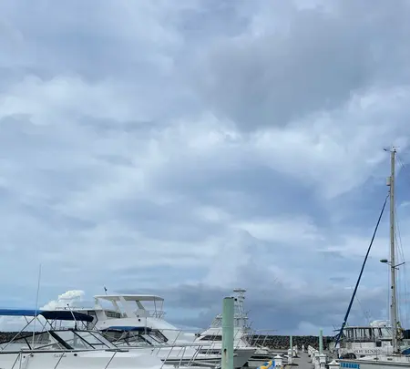Agat Marinaの写真・動画_image_612619