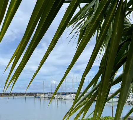 Agat Marinaの写真・動画_image_612620