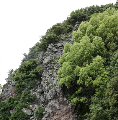 西の滝龍水寺の写真・動画_image_612714