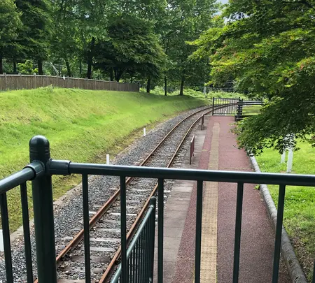 峠の湯の写真・動画_image_612855