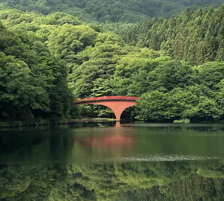 碓氷湖の写真・動画_image_612863