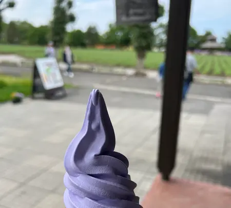 ファーム富田の写真・動画_image_612883