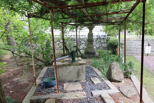 瀧湖寺の写真・動画_image_612960