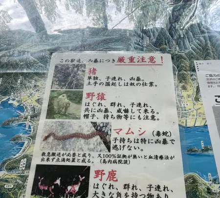 小豆島霊場第72番瀧湖寺　奥之院 笠ヶ瀧の写真・動画_image_612964