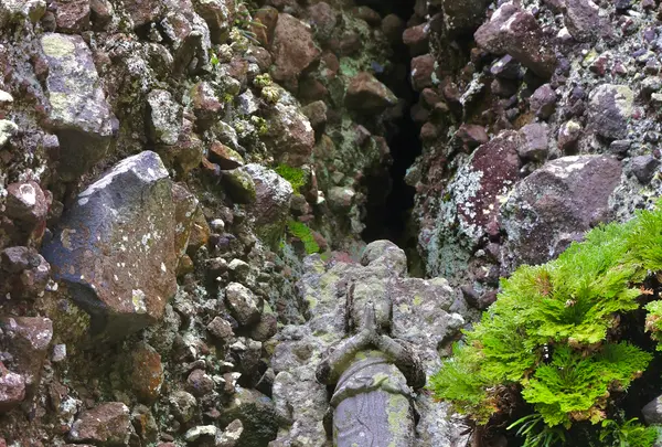 小豆島霊場第72番瀧湖寺　奥之院 笠ヶ瀧の写真・動画_image_612983