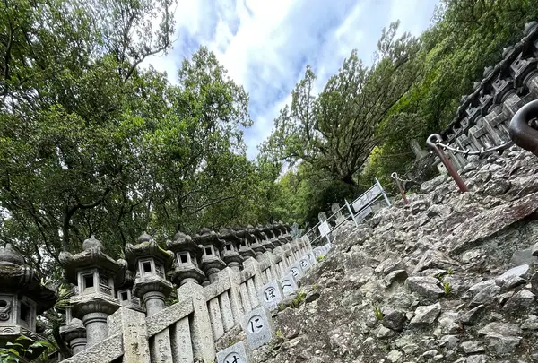 小豆島霊場第72番瀧湖寺　奥之院 笠ヶ瀧の写真・動画_image_613012