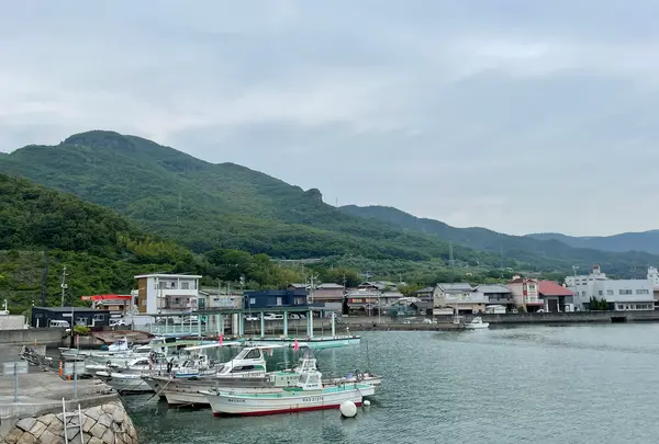 池田港の写真・動画_image_613095