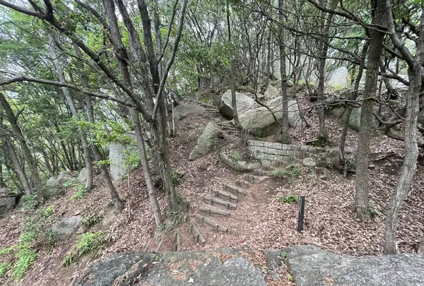 天狗岩丁場の写真・動画_image_613122