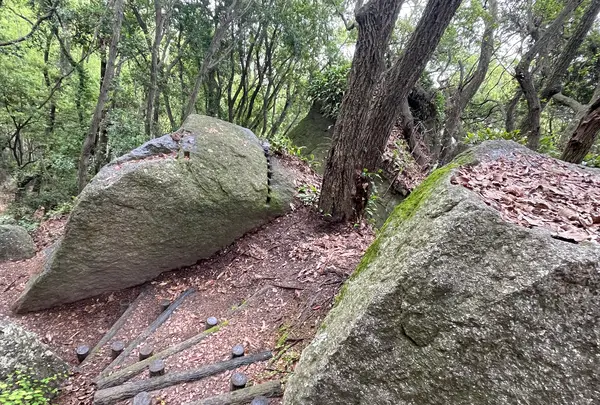 天狗岩丁場の写真・動画_image_613126