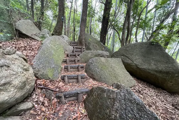 天狗岩丁場の写真・動画_image_613130