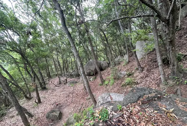 天狗岩丁場の写真・動画_image_613136