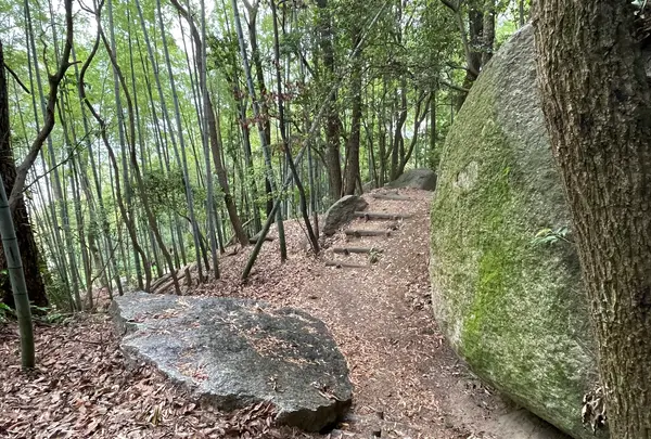 天狗岩丁場の写真・動画_image_613137