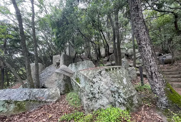 天狗岩丁場の写真・動画_image_613138