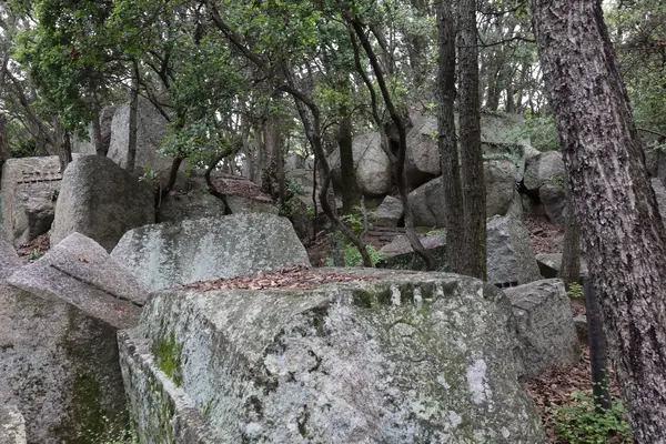 天狗岩丁場の写真・動画_image_613140