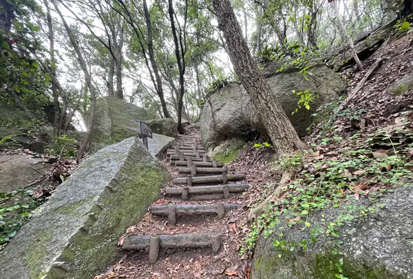 天狗岩丁場の写真・動画_image_613141