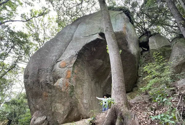 天狗岩丁場の写真・動画_image_613147