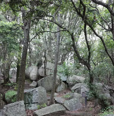 天狗岩丁場の写真・動画_image_613148