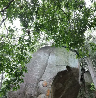 天狗岩丁場の写真・動画_image_613153