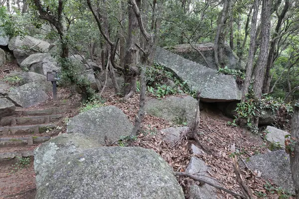 天狗岩丁場の写真・動画_image_613154