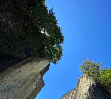 大谷寺・大谷観音の写真・動画_image_615101