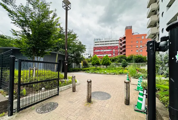 神宮通公園の写真・動画_image_615529