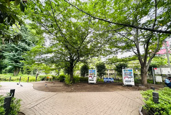 神宮通公園の写真・動画_image_615532