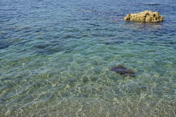 藻浦崎公園の写真・動画_image_616023