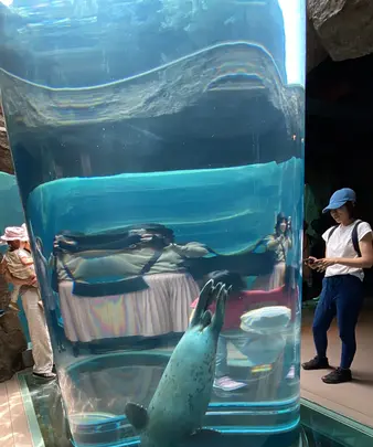 旭川市 旭山動物園の写真・動画_image_616030