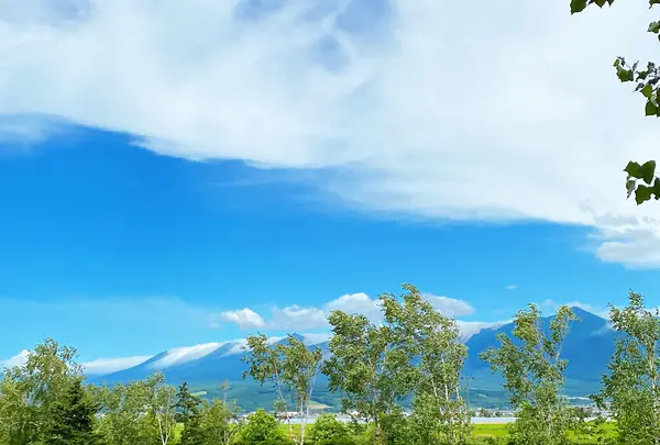 ファーム富田の写真・動画_image_616036