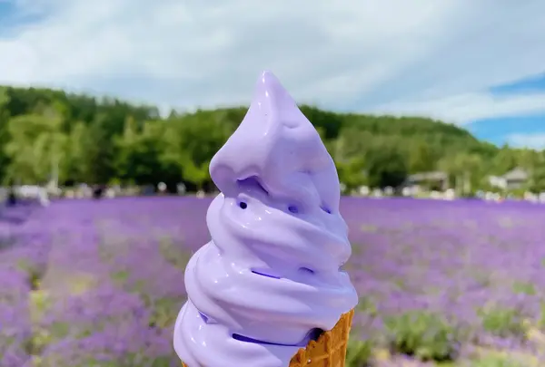 ファーム富田の写真・動画_image_616038