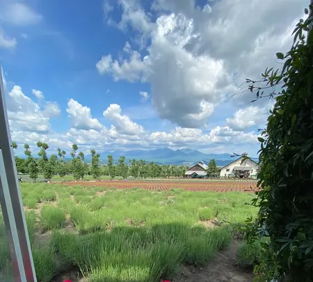 ファーム富田の写真・動画_image_616039