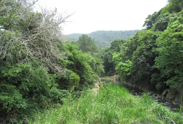 張大千先生紀念館の写真・動画_image_616432