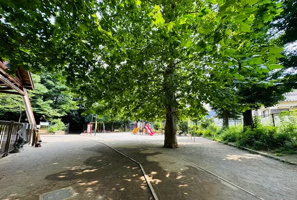氷川の杜公園の写真・動画_image_616812