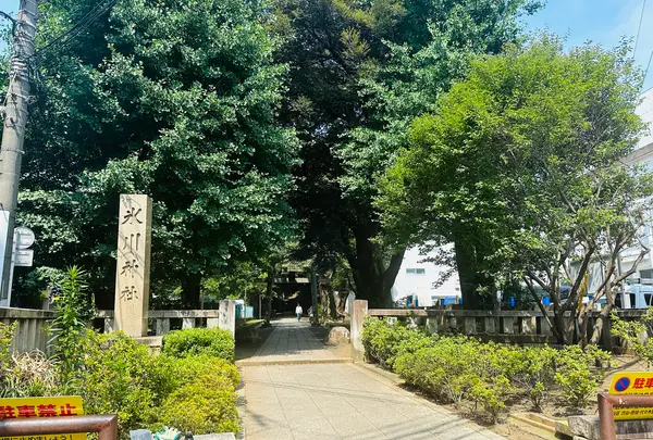 氷川の杜公園の写真・動画_image_616818