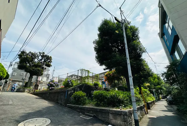 鉢山公園の写真・動画_image_616840