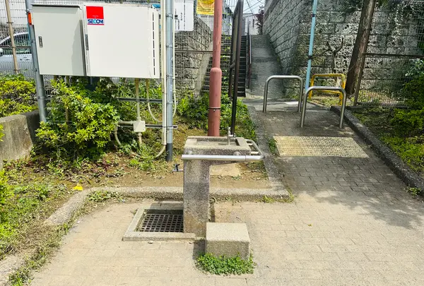 鉢山公園の写真・動画_image_616842