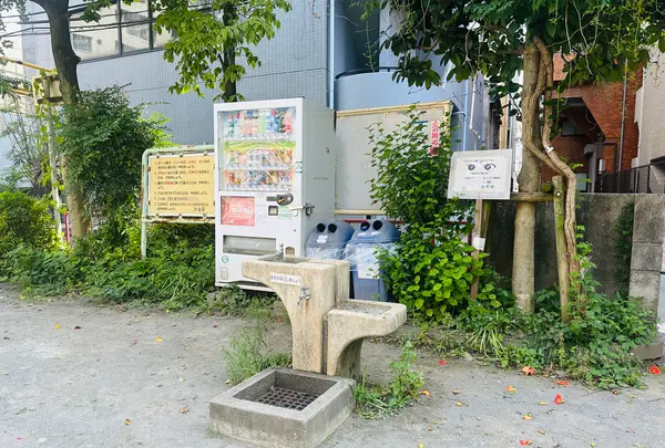 渋谷区立並木橋児童遊園地の写真・動画_image_616848