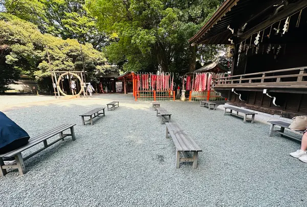 金王八幡宮公園の写真・動画_image_616856